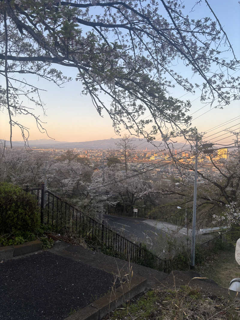 Bさんの観音山サウナ蒸寺のサ活写真