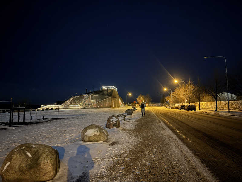 OLDスタイラーさんのLöylyのサ活写真