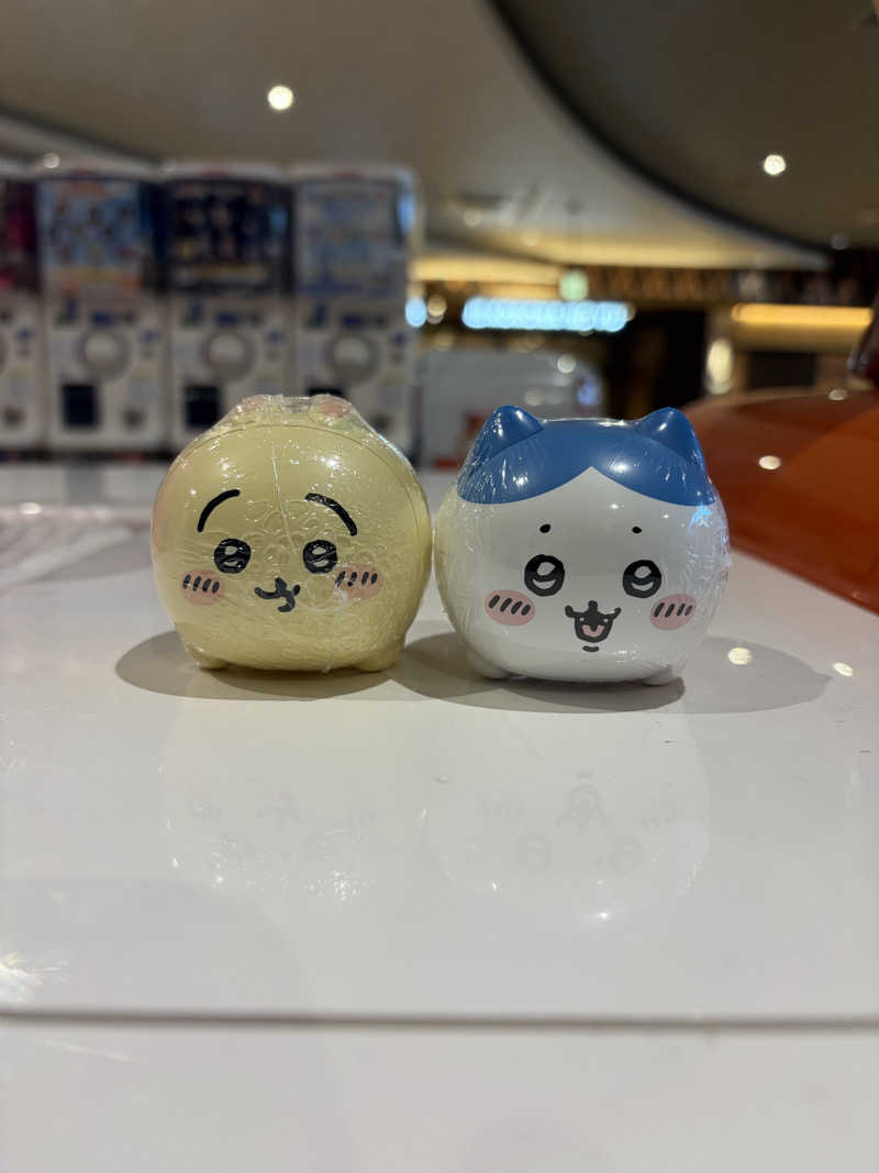 ひとし@HITOSHIさんの天然温泉 小田原コロナの湯のサ活写真