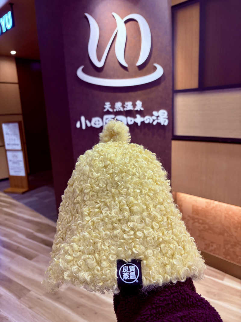 ひとし@HITOSHIさんの天然温泉 小田原コロナの湯のサ活写真