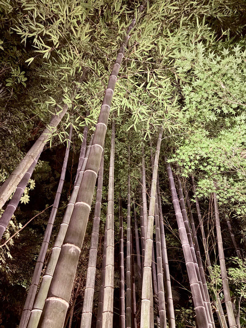 ひとし@HITOSHIさんの箱根湯本温泉 天成園のサ活写真
