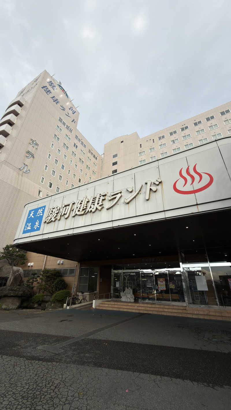パインさんの駿河健康ランドのサ活写真