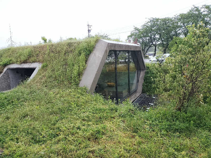 ハナさんのThe Hive SAUNAのサ活写真