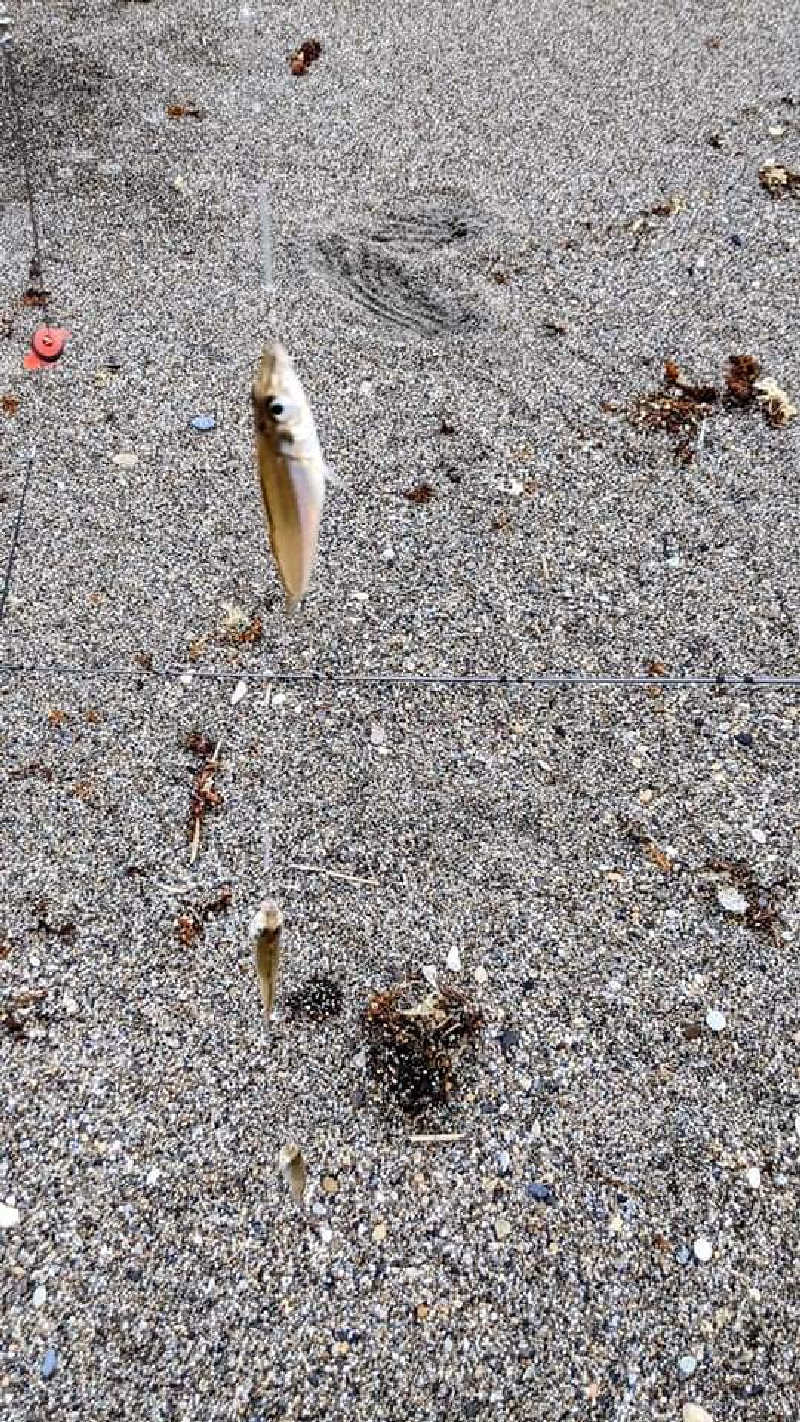 ゆったんさんの砂丘温泉ゆめろんのサ活写真