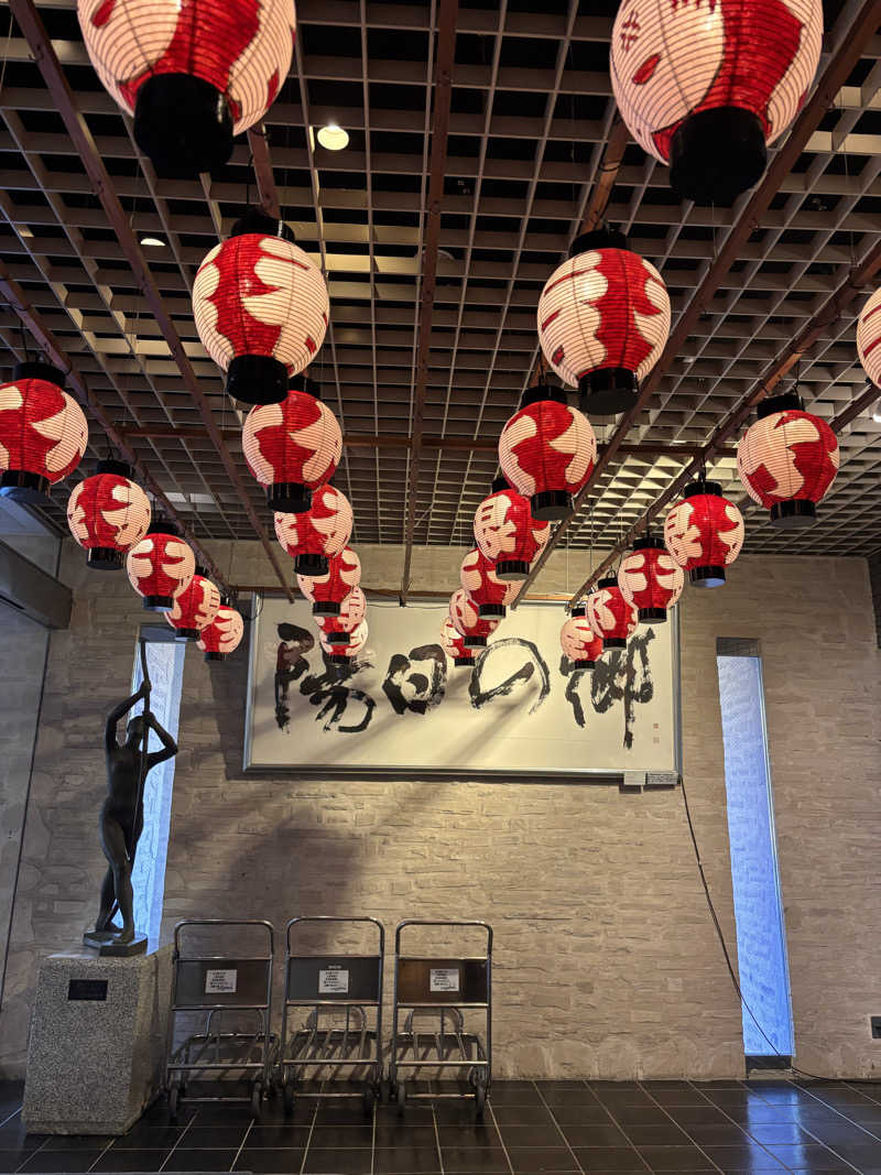 萌華さんの陽日の郷 あづま館のサ活写真