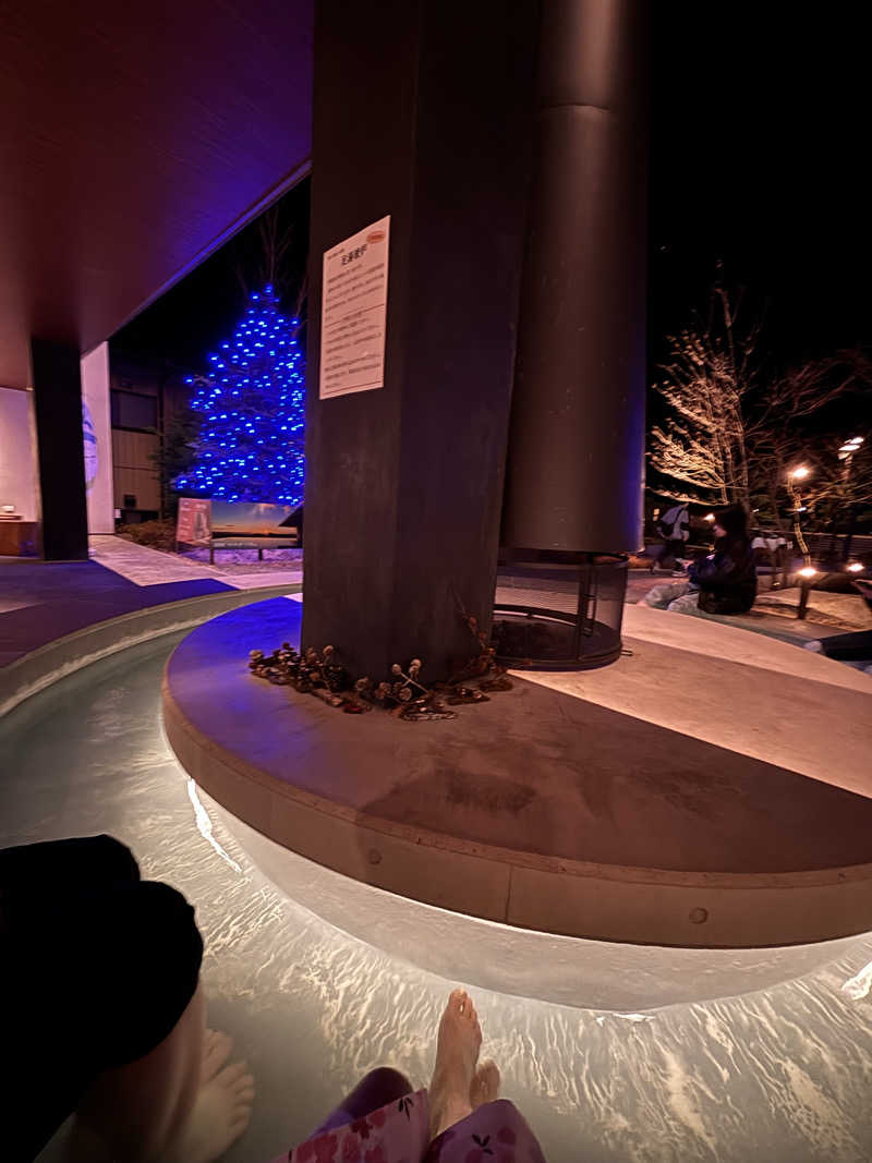 萌華さんの陽日の郷 あづま館のサ活写真