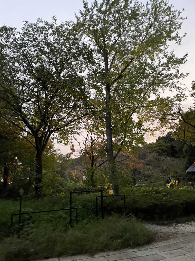 えりりんさんのよみうりランド眺望温泉 花景の湯のサ活写真