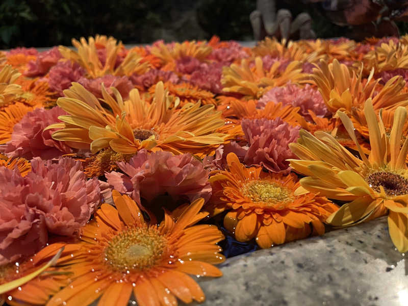 えりりんさんのよみうりランド眺望温泉 花景の湯のサ活写真