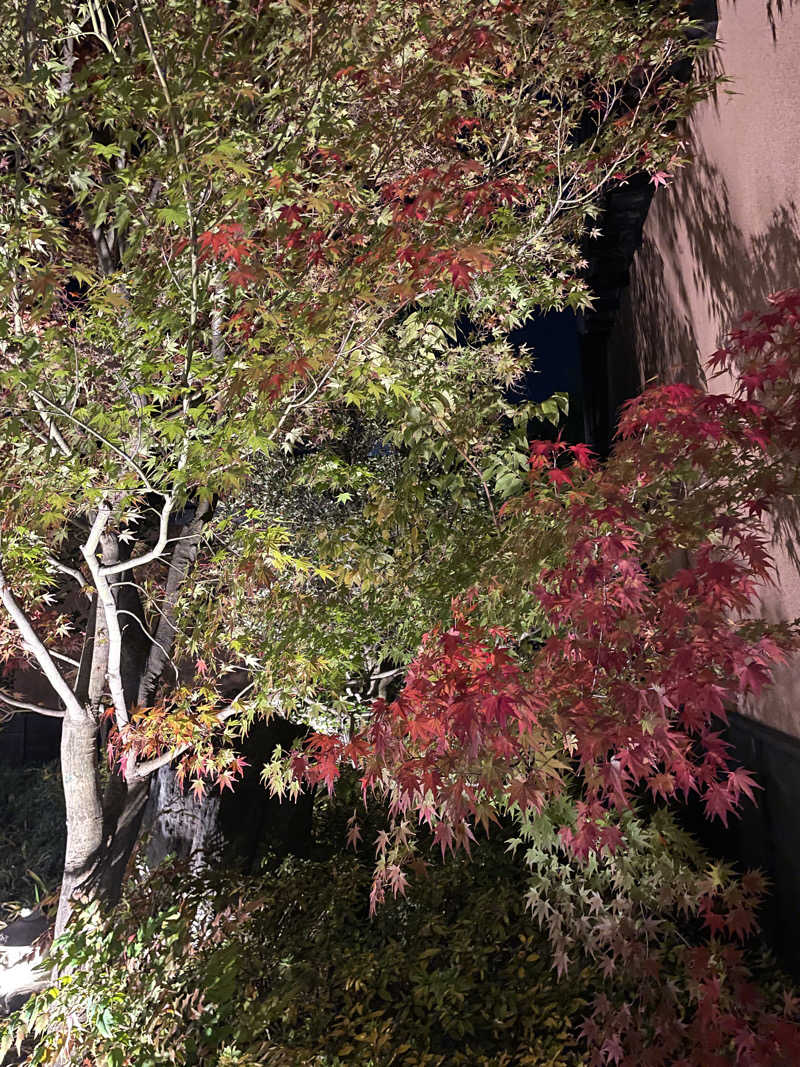 star.Aさんの横浜青葉温泉 喜楽里別邸のサ活写真