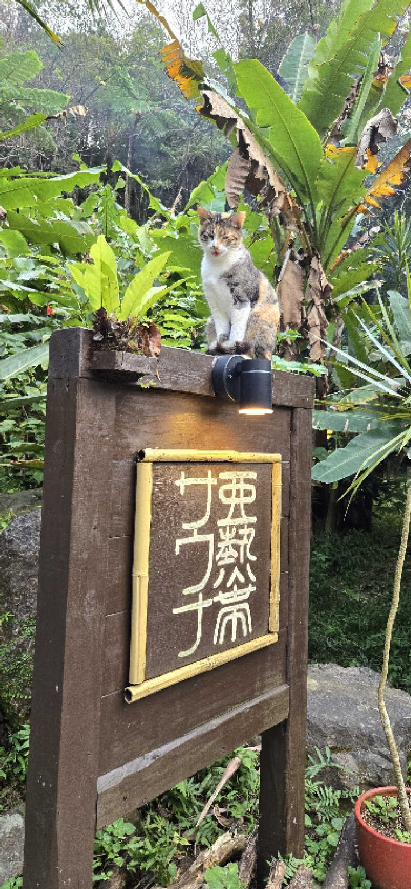 cafelatteさんの亜熱帯サウナのサ活写真