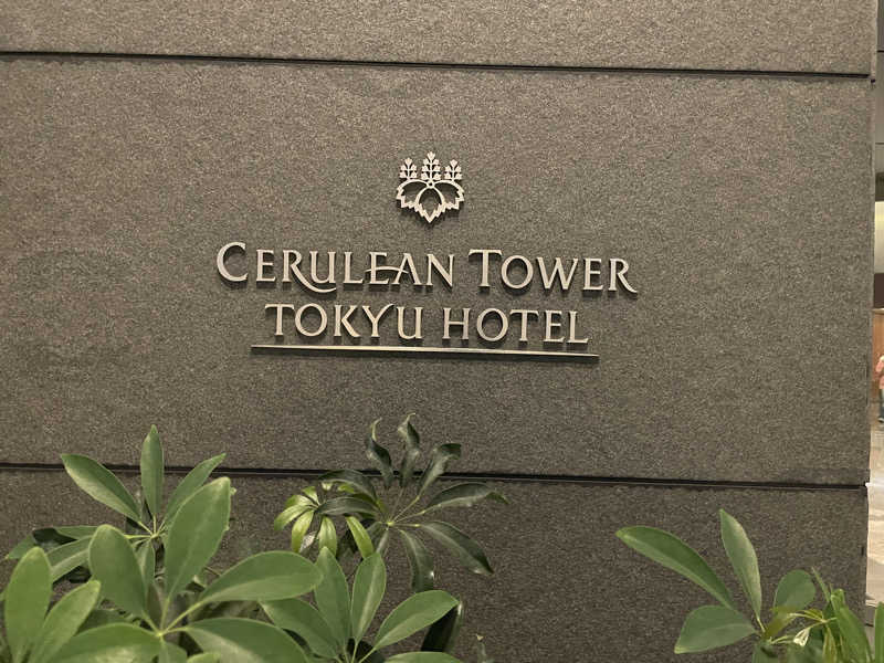 chiさんのセルリアンタワー東急ホテルのサ活写真
