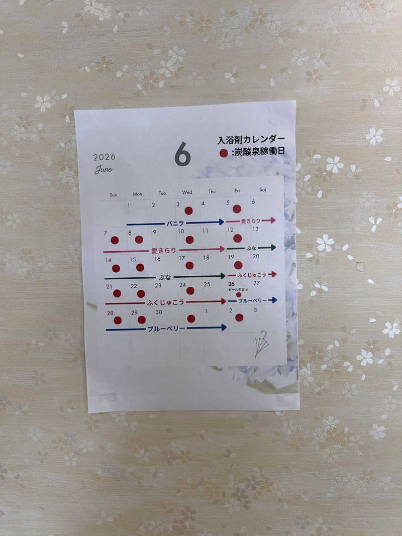 りょうすけさんのこうしんの湯のサ活写真