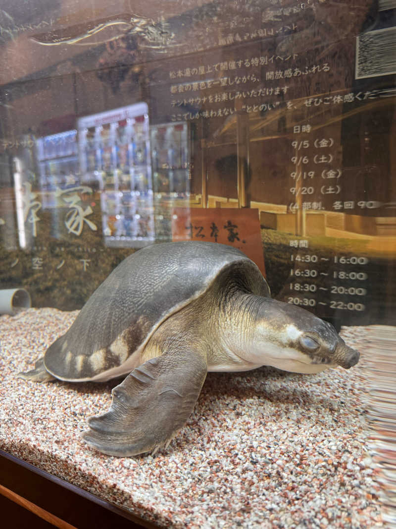 サはしさんの松本湯のサ活写真