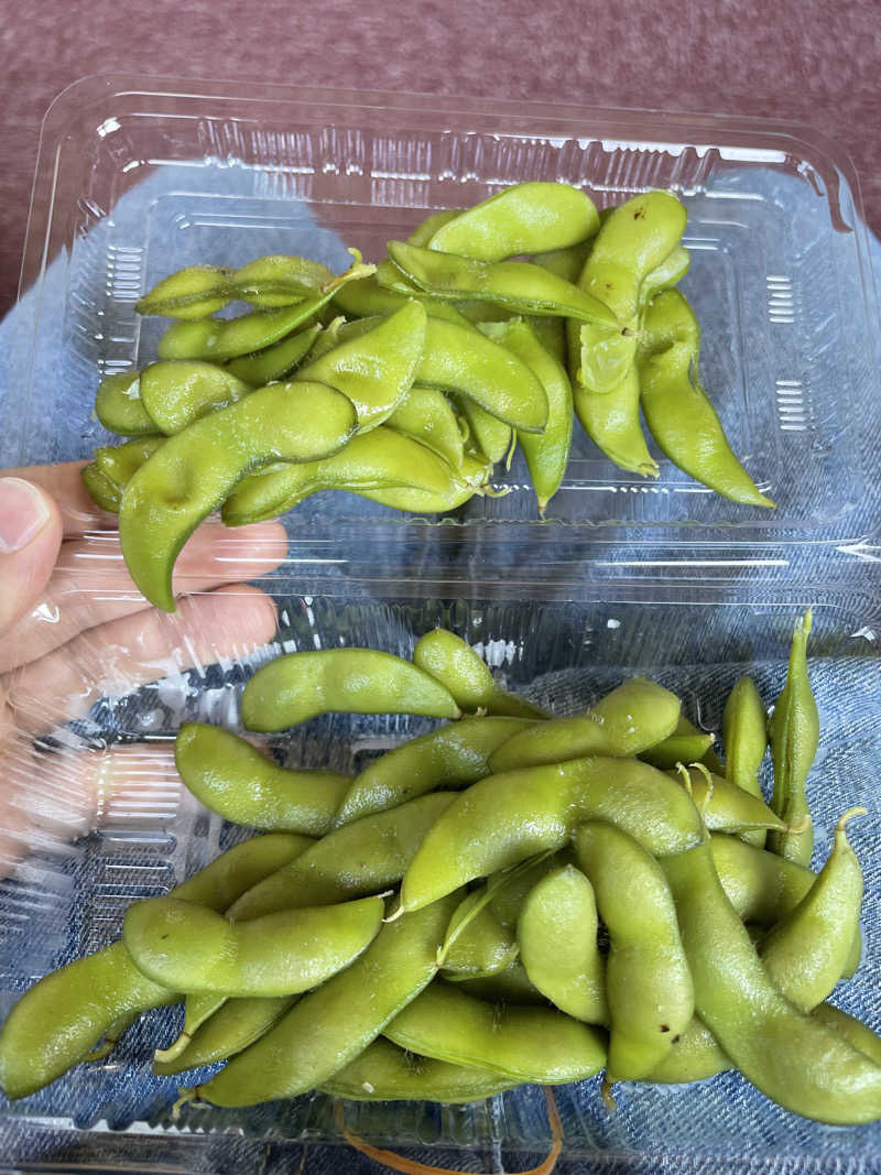 もげさんの多宝温泉 だいろの湯のサ活写真