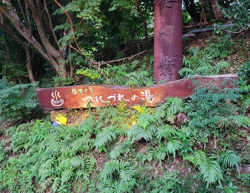 saijiさんのゆかいだ温泉  つれづれの湯のサ活写真