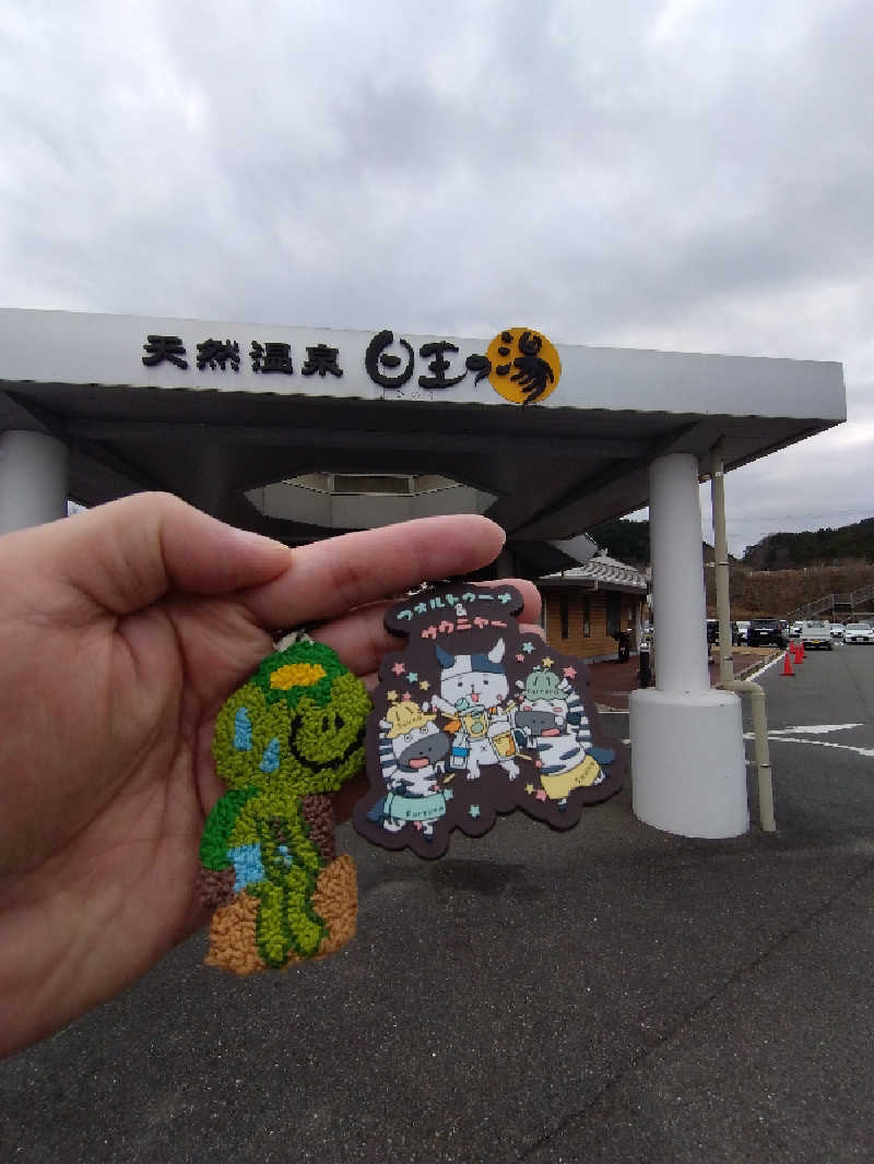 カッパのまこちゃんさんの天然温泉日王の湯のサ活写真