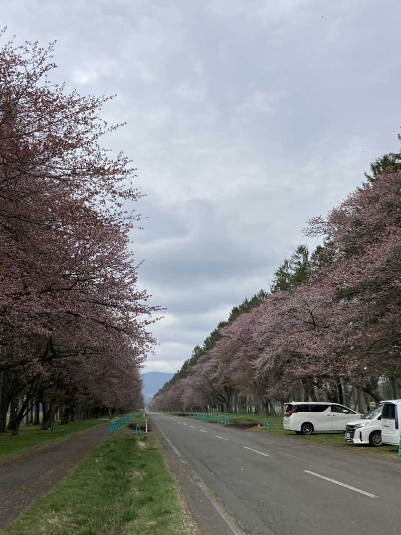 なおゆきさんのみついし昆布温泉 蔵三のサ活写真