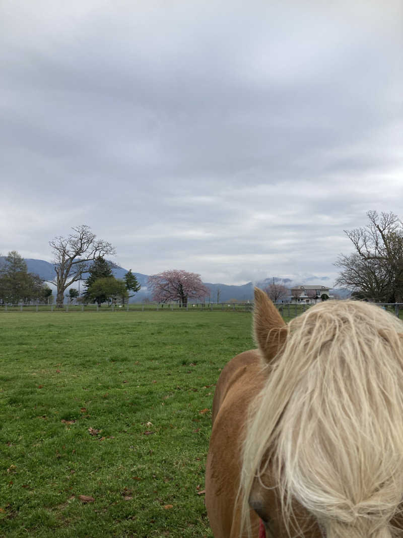 なおゆきさんのみついし昆布温泉 蔵三のサ活写真