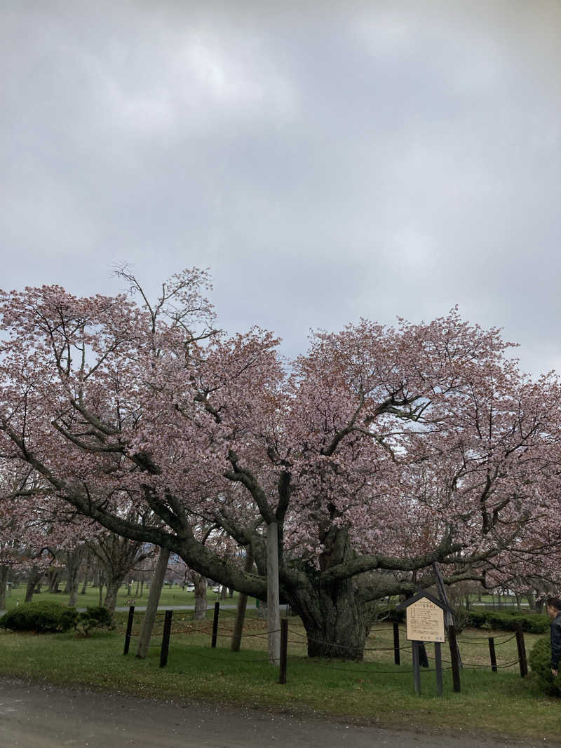 なおゆきさんのみついし昆布温泉 蔵三のサ活写真