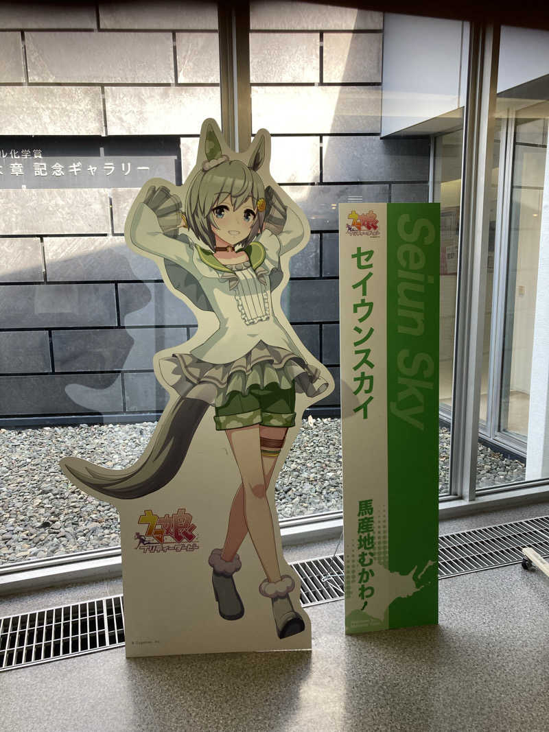 なおゆきさんの道の駅 むかわ四季の館のサ活写真