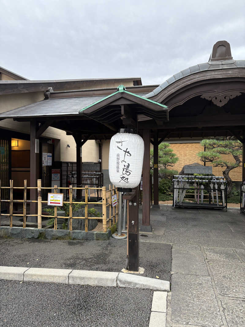 ゆーたさんの前野原温泉 さやの湯処のサ活写真