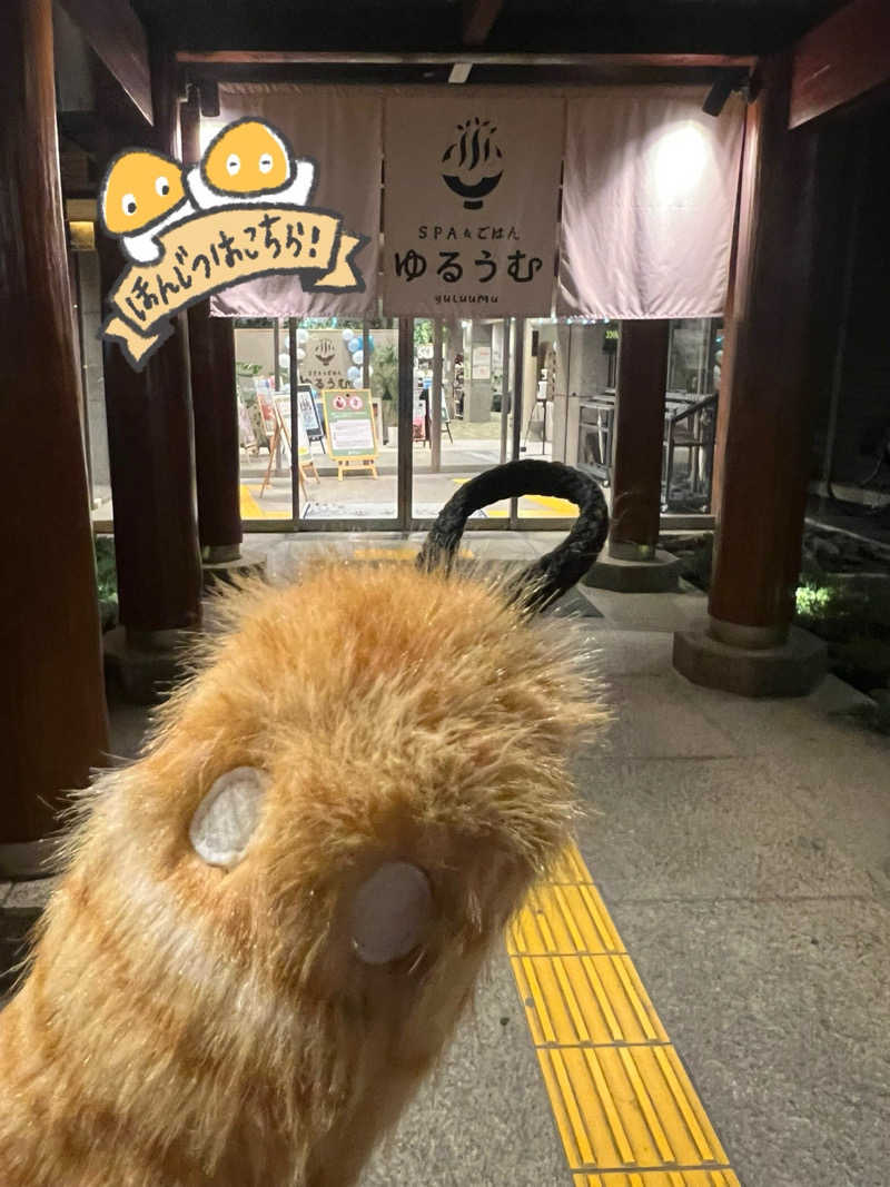 RAMU@さんのSPA&ごはん ゆるうむ yuluumuのサ活写真