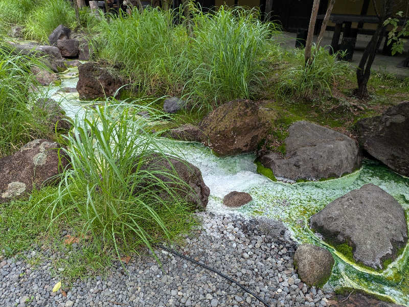 らんブロさんの寒の地獄旅館のサ活写真