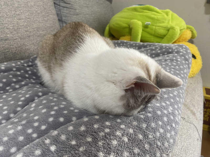 nanaさんの健康ゆ空間 磐田ななつぼしのサ活写真