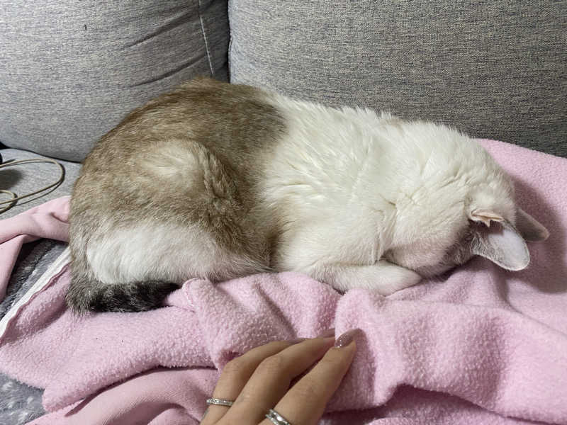 nanaさんの健康ゆ空間 磐田ななつぼしのサ活写真