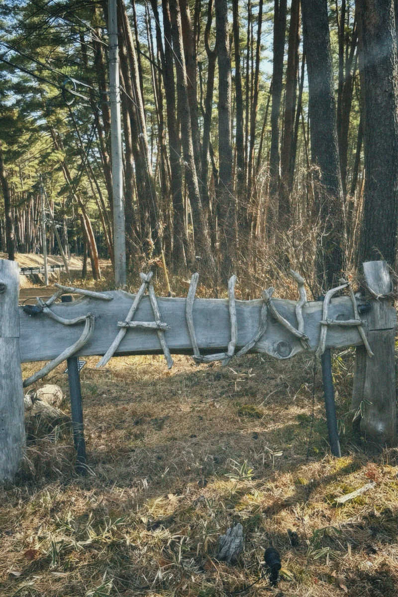 nochinosaunaさんのFOLKWOOD SAUNAのサ活写真