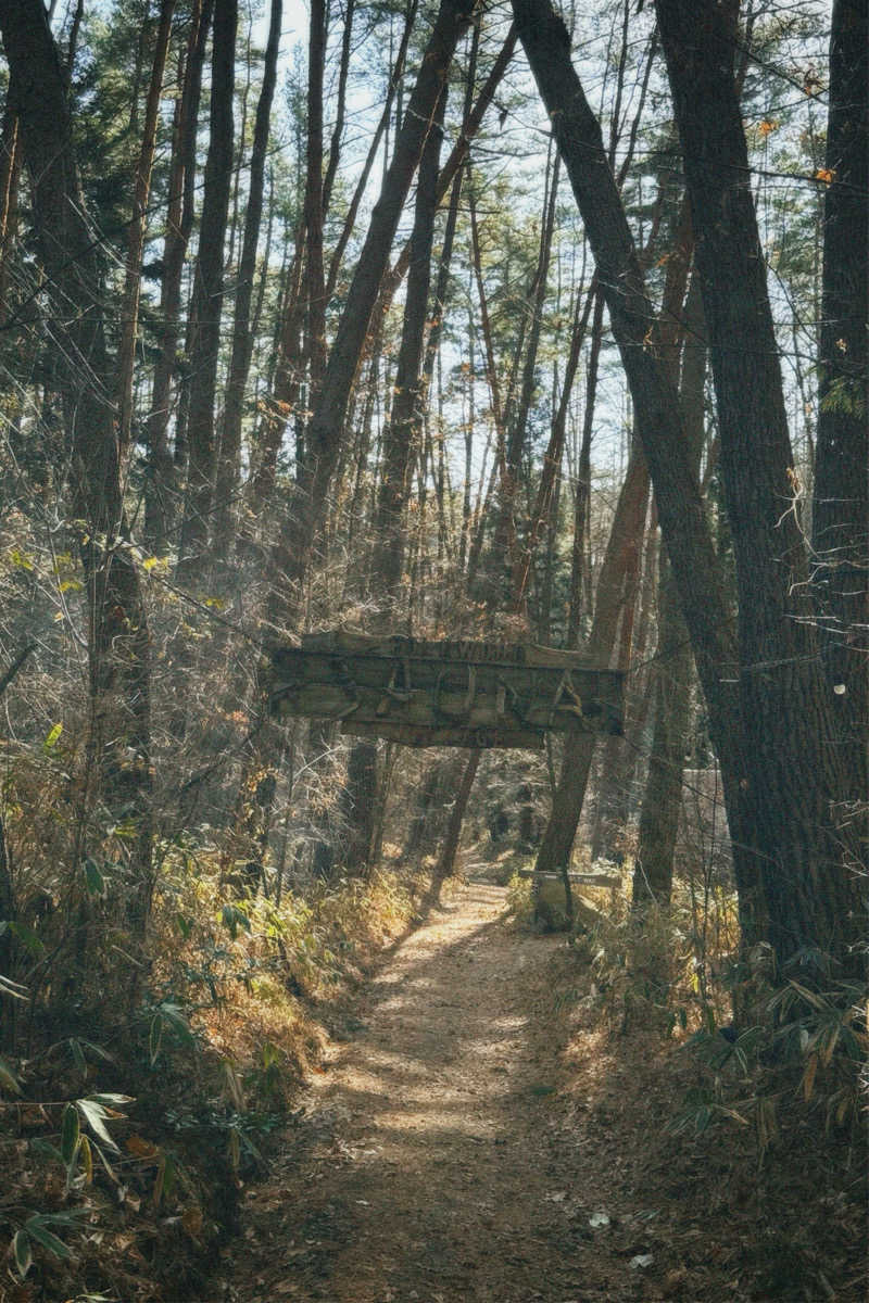 nochinosaunaさんのFOLKWOOD SAUNAのサ活写真