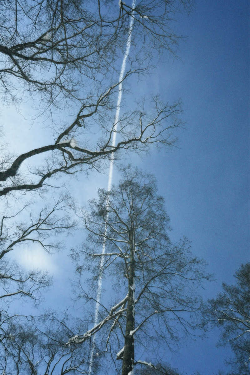 nochinosaunaさんのThe Saunaのサ活写真