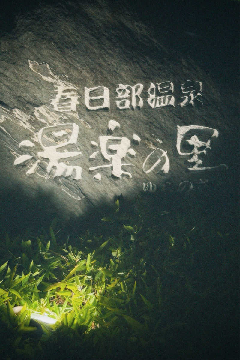 nochinosaunaさんの春日部温泉 湯楽の里のサ活写真