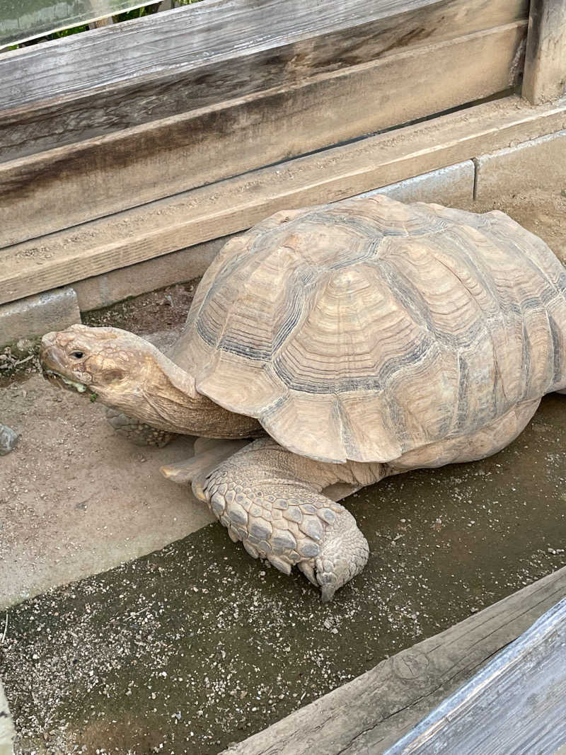 taaさんの湯免ふれあいセンターのサ活写真