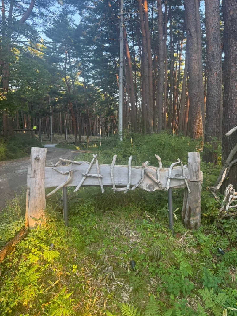 あまみ大臣さんのFOLKWOOD SAUNAのサ活写真