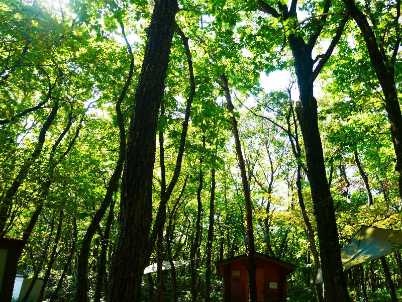 あまみ大臣さんの森のサウナ kaveri(カベリ)-エンゼルフォレスト白河高原のサ活写真