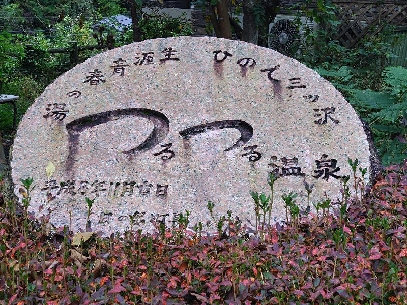 蒸塩男さんの生涯青春の湯 つるつる温泉のサ活写真