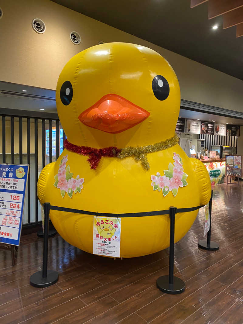 樹弥さんの神州温泉 あるごの湯のサ活写真