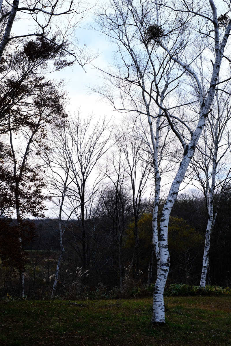 N.Tさんの星降る山荘  七時雨山荘のサ活写真