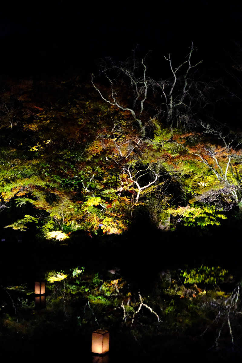 N.Tさんの御船山楽園ホテル  らかんの湯のサ活写真