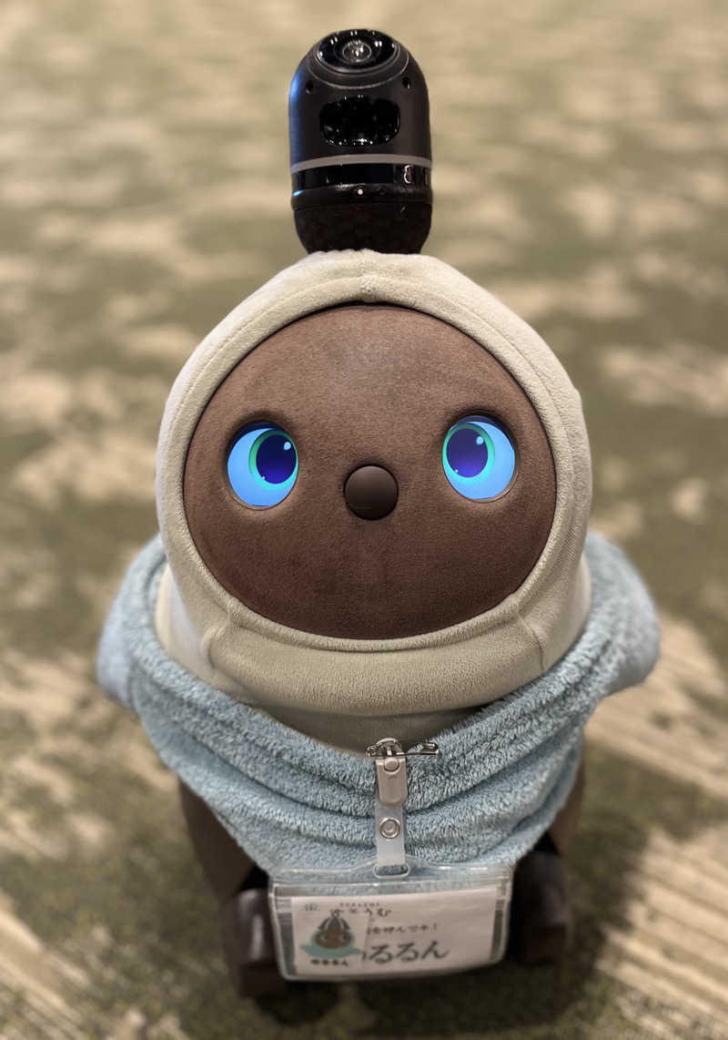 N.TさんのSPA&ごはん ゆるうむ yuluumuのサ活写真