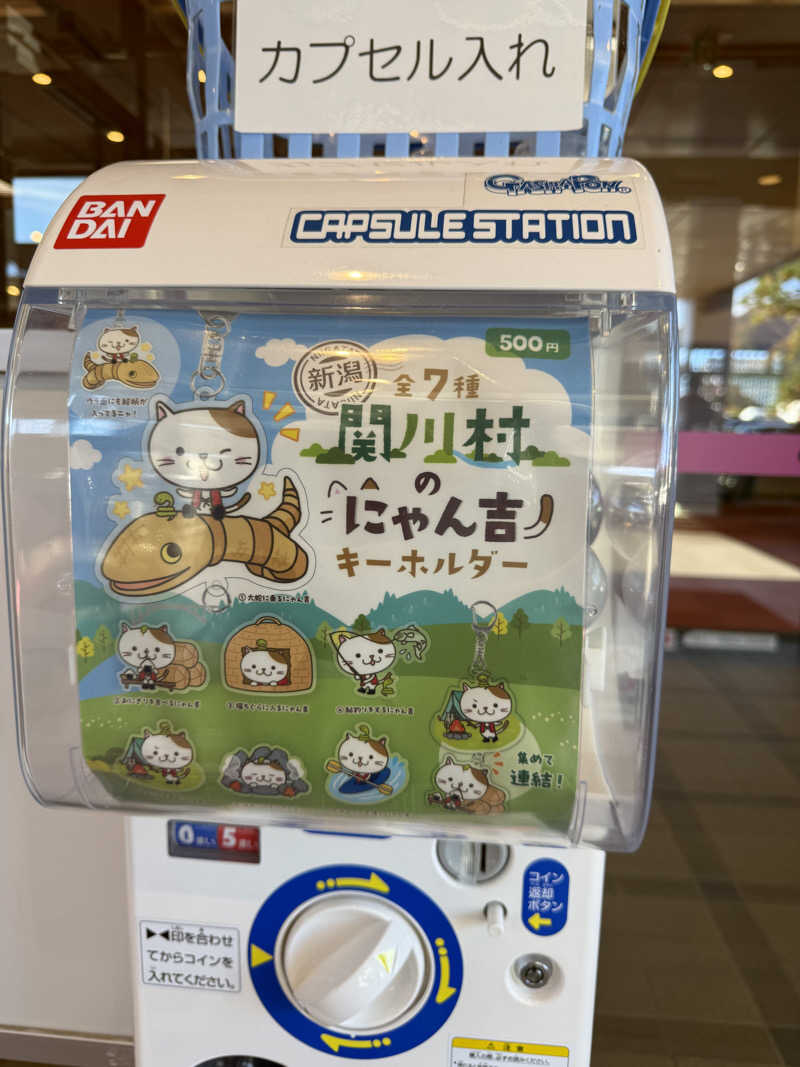 まおぞうさんの桂の関温泉 ゆーむのサ活写真