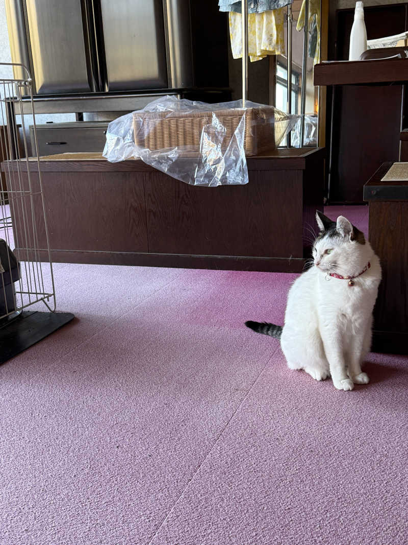 まおぞうさんの五泉市村松 さくらんど温泉のサ活写真