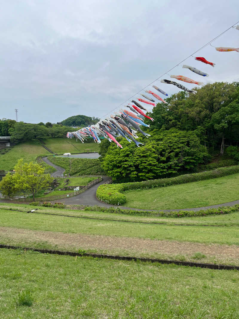 サウナべととのふさんのよみうりランド眺望温泉 花景の湯のサ活写真