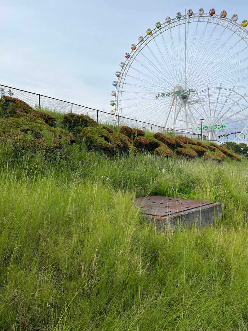 サウナべととのふさんのよみうりランド眺望温泉 花景の湯のサ活写真