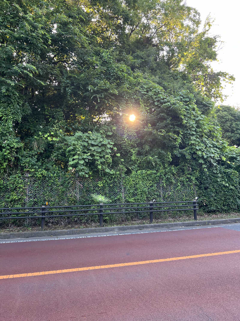 サウナべととのふさんのよみうりランド眺望温泉 花景の湯のサ活写真