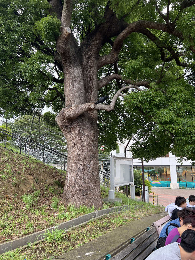 サウナべととのふさんのよみうりランド眺望温泉 花景の湯のサ活写真