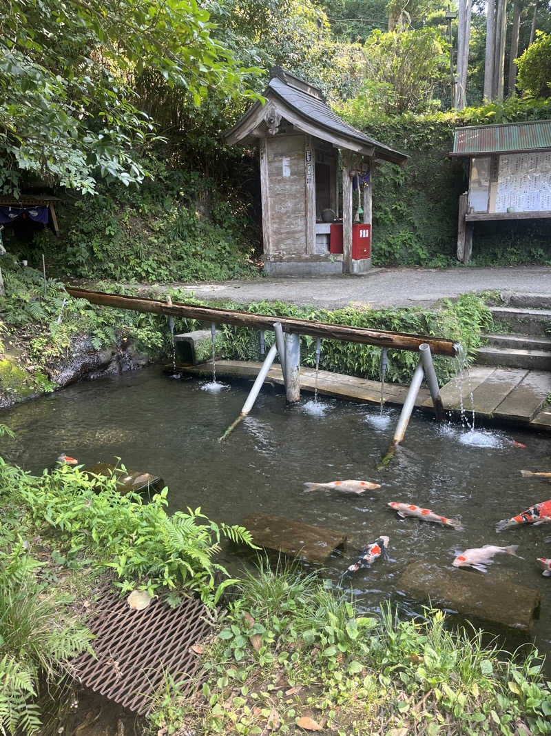 デスピさんのSATOYAMA TERRACEのサ活写真