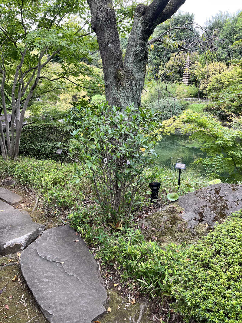 かえでさんのサウナ&ホテル かるまる池袋のサ活写真