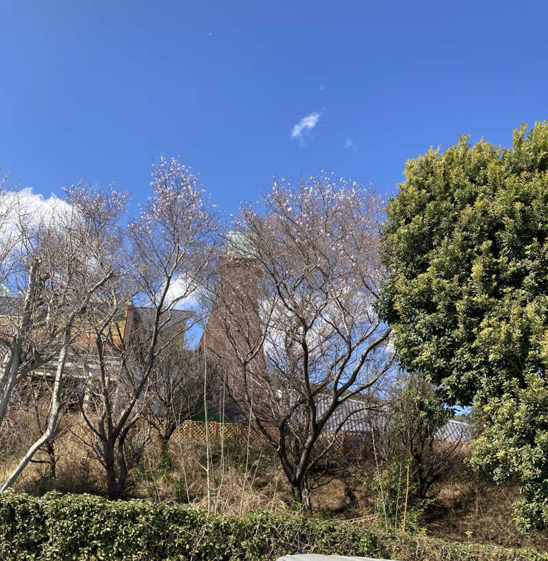 ひろきちさんの天然温泉 本宮の湯のサ活写真